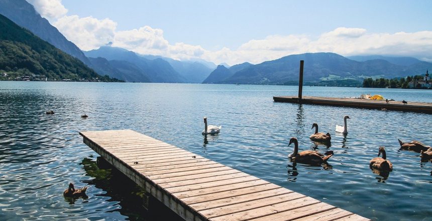 lake, jetty, swans-6576446.jpg