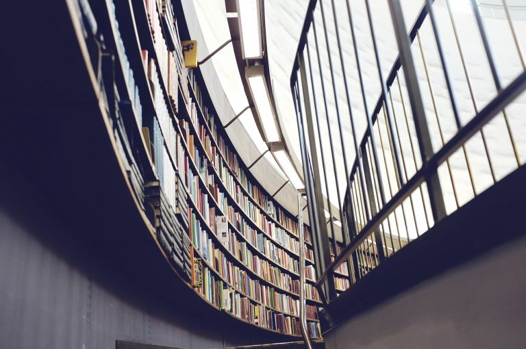 library, books, bookshelves-438389.jpg